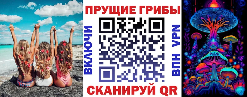 МЕГА зеркало  Нижнеудинск  Псилоцибиновые грибы Cubensis 